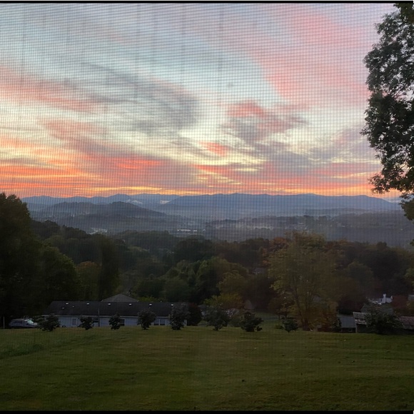 Meet your Posher, Erin - Picture 5 of 5